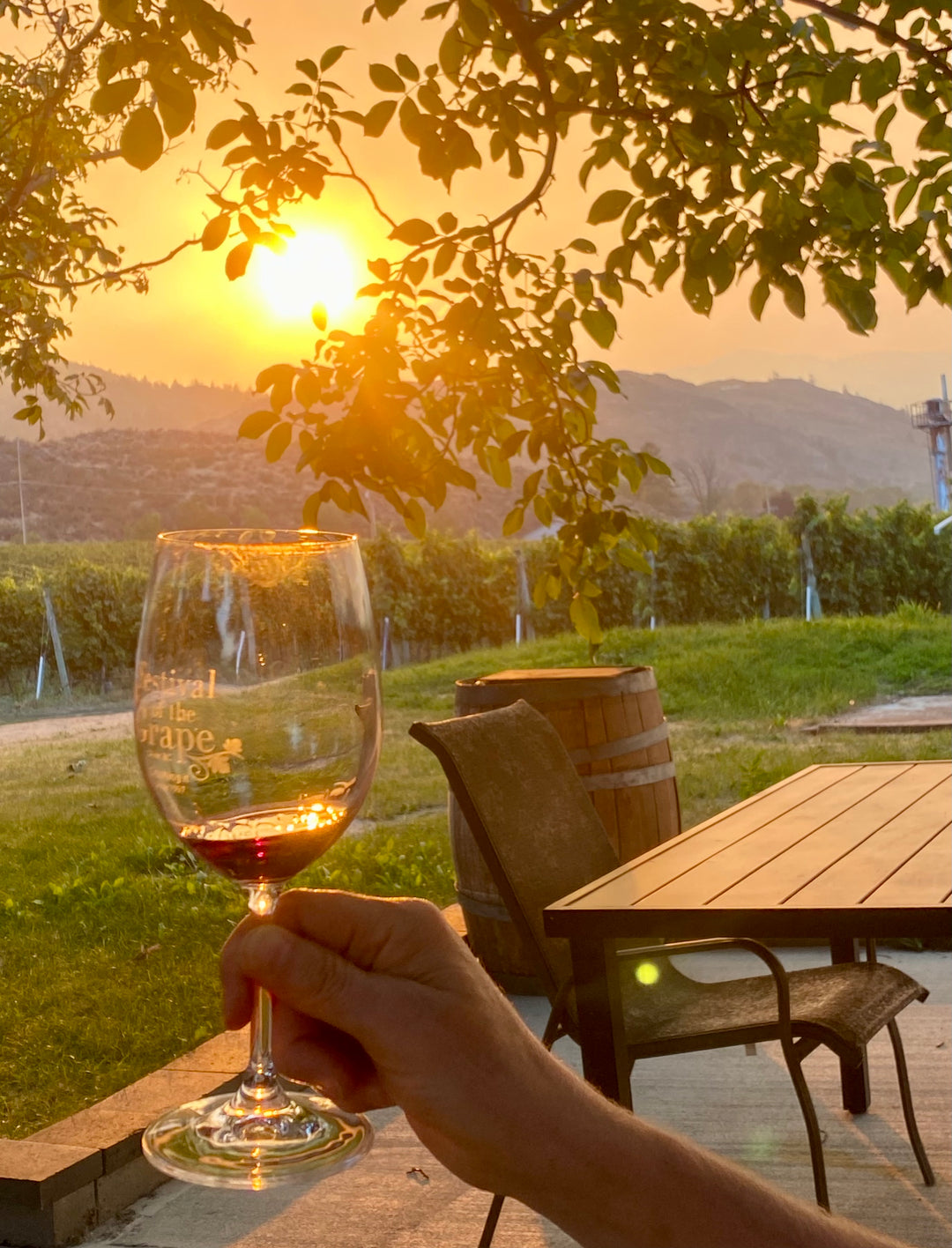 Glass of WINE